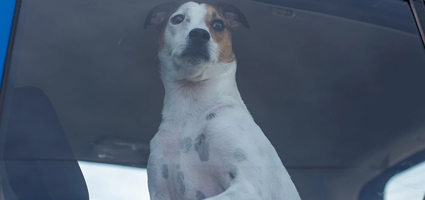 Car Lockout Solutions in West Sacramento, California